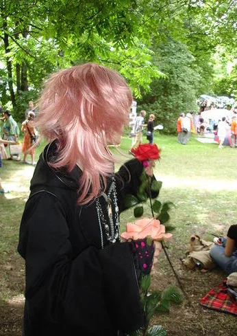 Cosplay-Cover: Marluxia (geklaute Kutte)