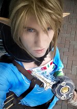 Cosplay-Cover: Link - Wii U