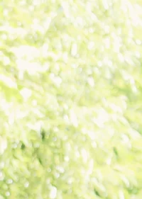 Cosplay-Cover: Kofuku