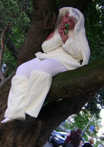 Cosplay-Cover: Wizz