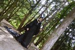 Cosplay-Cover: Maleficent Die dunkle Fee