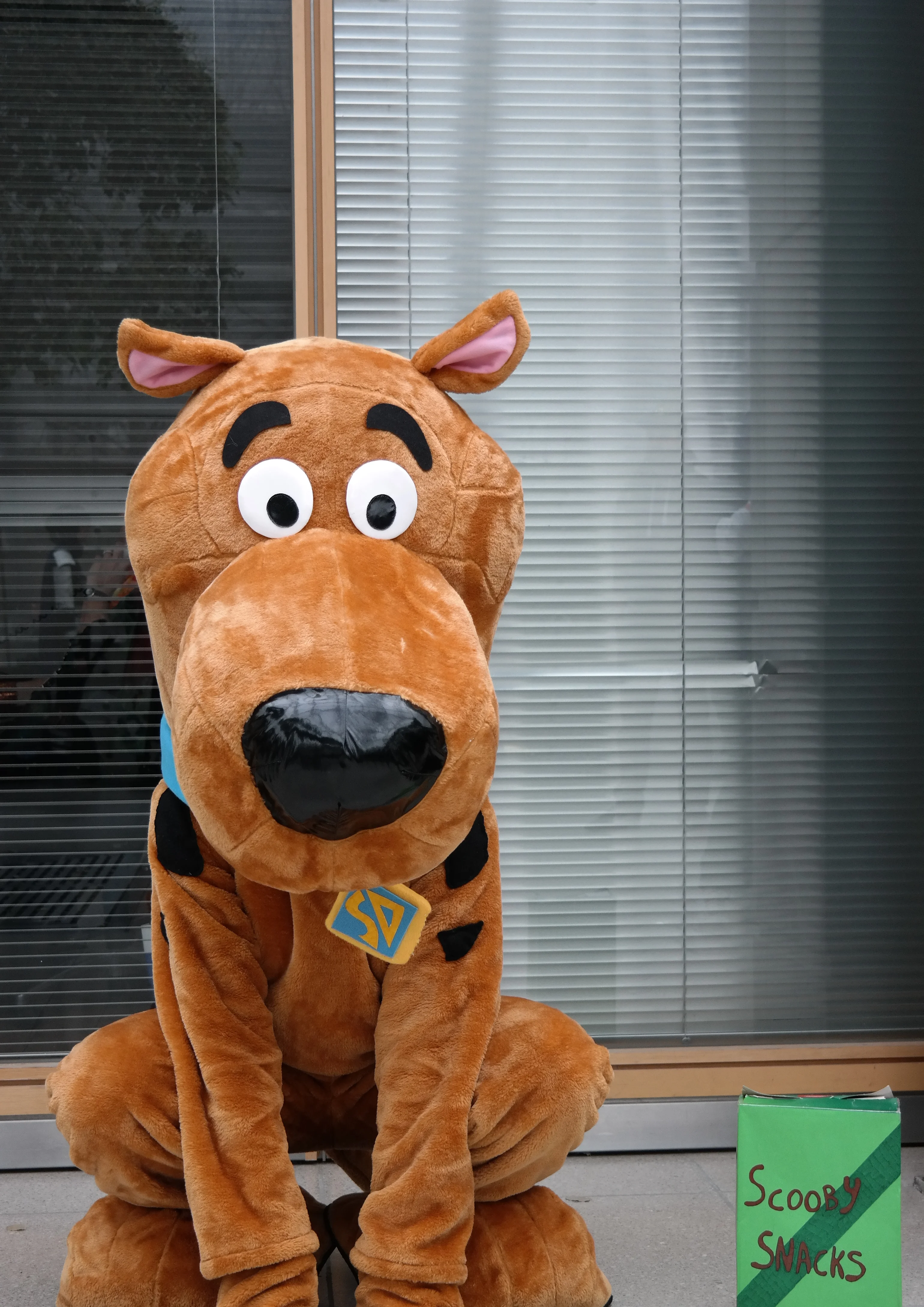 Cosplay-Cover: Scooby Doo