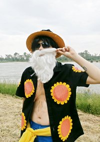 Cosplay-Cover: Monkey D Luffy (Dressrosa)