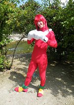 Cosplay-Cover: Knuckles the Echidna
