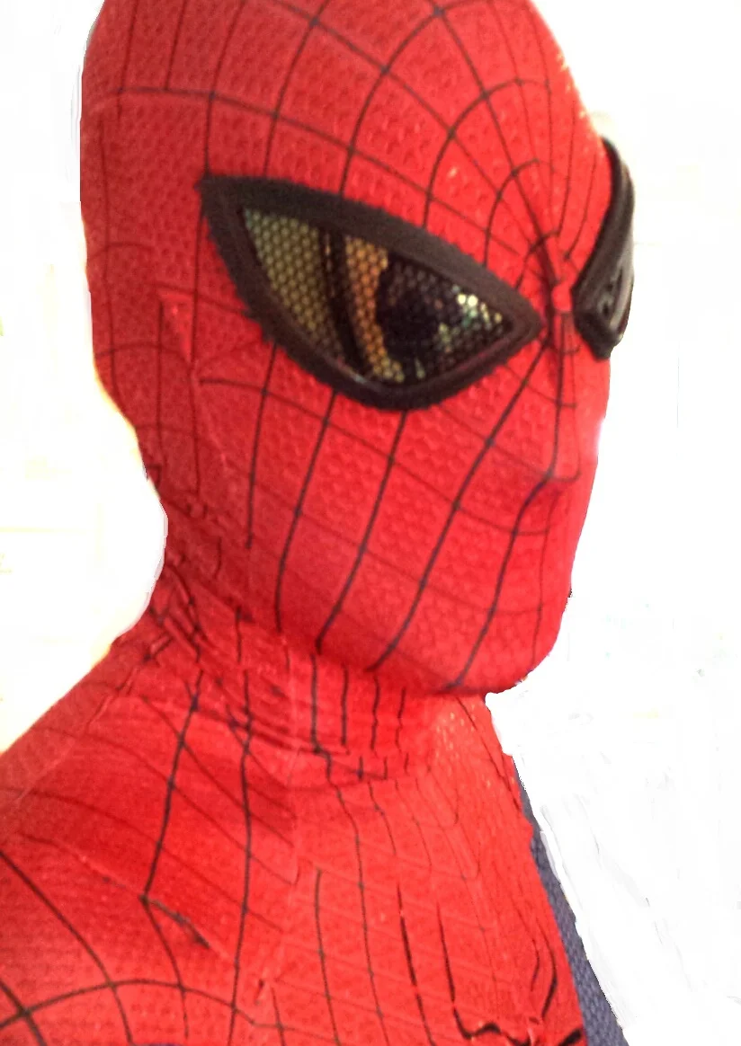 Cosplay-Cover: Spider-Man