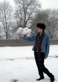 Cosplay-Cover: Harry Potter (Winter)