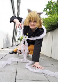 Cosplay-Cover: Pitou