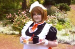 Cosplay-Cover: Hanayo Koizumi (Mogyutto Love De Sekkin Chuu!)