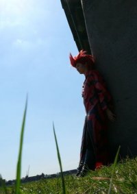 Cosplay-Cover: Axel Flight of the Phoenix~☆