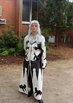 Cosplay-Cover: Xemnas