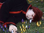 Cosplay-Cover: Sasori