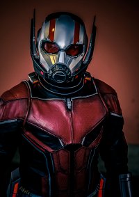 Cosplay-Cover: Ant-Man and the Wasp (2018)