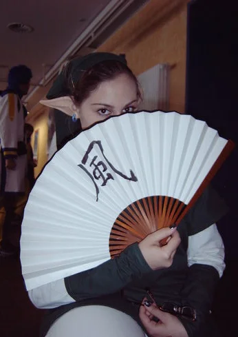 Cosplay-Cover: grüner Link; 2008 Version