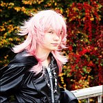 Cosplay-Cover: Marluxia