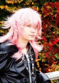 Cosplay-Cover: Marluxia