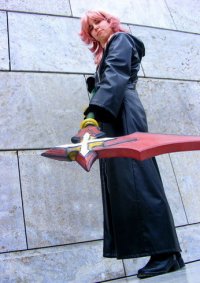 Cosplay-Cover: Marluxia