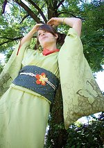 Cosplay-Cover: Tinkerbell Kimono