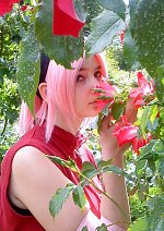 Cosplay-Cover: Sakura Haruno - Shippuden