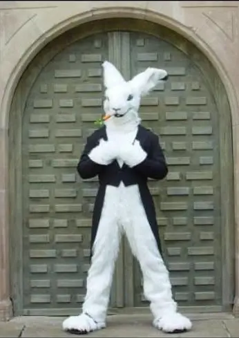 Cosplay-Cover: Usagi