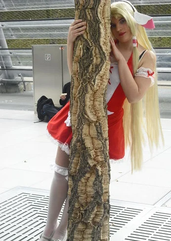 Cosplay-Cover: Chi Maid