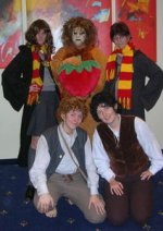 Cosplay-Cover: Harry Potter