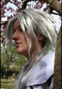 Cosplay-Cover: Xemnas [Boss]