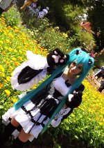 Cosplay-Cover: Miku Hatsune (Neko Maid)