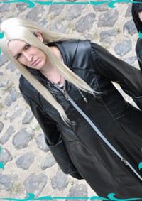 Cosplay-Cover: Vexen, The Chilly Academic