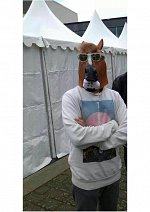 Cosplay-Cover: Horse Man