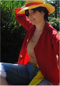 Cosplay-Cover: Monkey D. Luffy ● モンキー・D・ ルフィ [2YL]