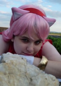 Cosplay-Cover: Amy Rose [old]
