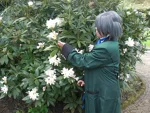 Cosplay-Cover: Ciel Phantomhive Basic