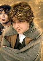 Cosplay-Cover: Samwise Gamgee