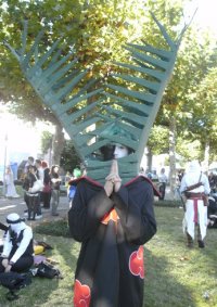 Cosplay-Cover: Zetsu