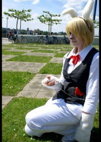 Cosplay-Cover: White Rabbit - [「Red Mad Tea Party」♥ ]