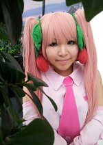 Cosplay-Cover: Miku Hatsune [Sakura Miku]