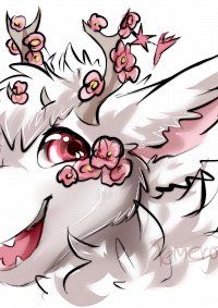 Cosplay-Cover: Angel Dragon Sakura