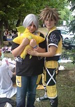 Cosplay-Cover: Riku Master Form