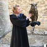 Cosplay-Cover: Ravenclaw Robe