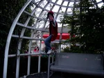 Cosplay-Cover: Red