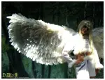 Cosplay-Cover: Fullmoon