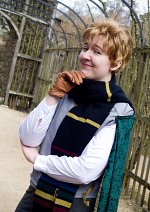 Cosplay-Cover: Gilderoy Lockhart