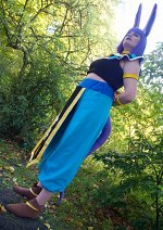 Cosplay-Cover: Beerus