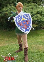 Cosplay-Cover: Link