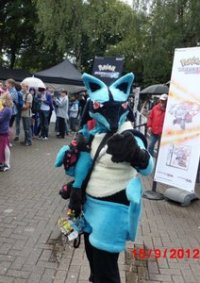 Cosplay-Cover: Lucario (neue Version)