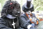 Cosplay-Cover: Hellhound
