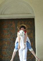 Cosplay-Cover: Flying Lamb/Going Merry Galeonsfigur