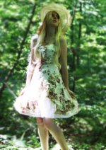 Cosplay-Cover: Country Lolita