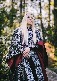 Cosplay-Cover: Thranduil (tent scene)