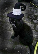 Cosplay-Cover: Blair cat-version